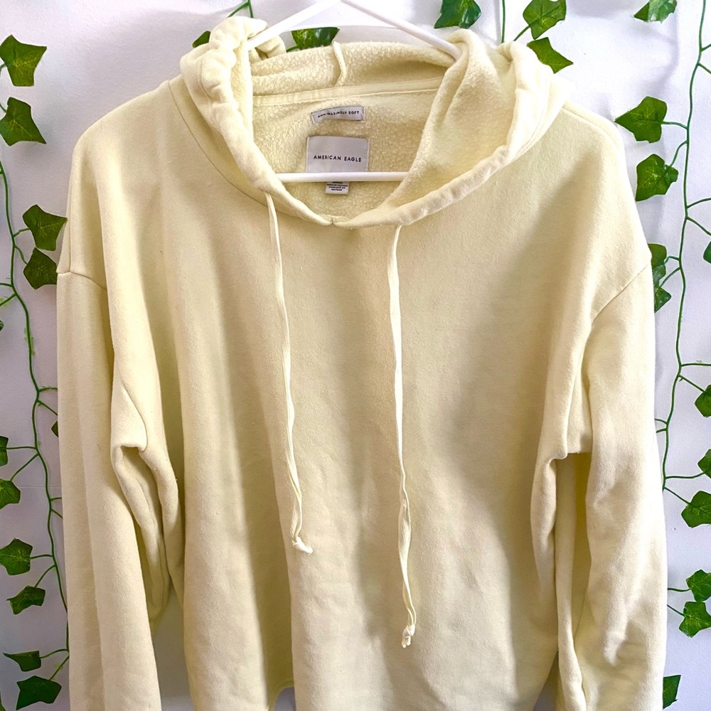 american eagle cropped hoodie